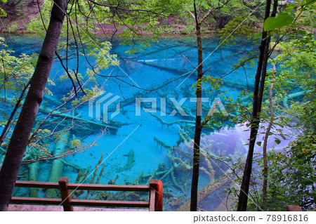 Gokakai 的藍色水,一組在中國四川九寨溝的湖泊 Gokakai 的藍色水,一組在中國四川九寨溝的湖泊 78916816