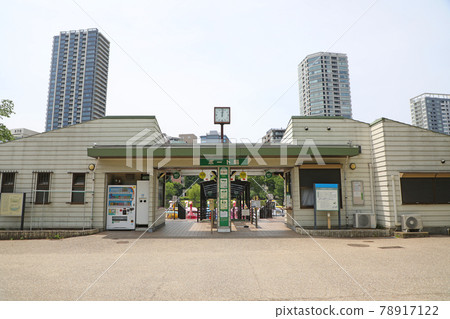 Shinobazu Pond Boat Ground Shinobazu Pond Boat Ground 78917122