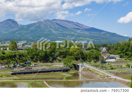 Shinano Railway 115 series ska color that runs in the summery scenery Shinano Railway 115 series ska color that runs in the summery scenery 78917300