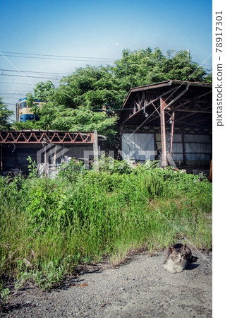 115系列ska color在時間停止的孤獨工廠中奔跑 78917301