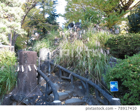 "Fujizuka in Sendagaya" at Hatonomori Hachiman Shrine in Shibuya Ward 78917410