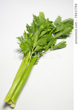 德島縣產芹菜 德島縣產芹菜 78917769