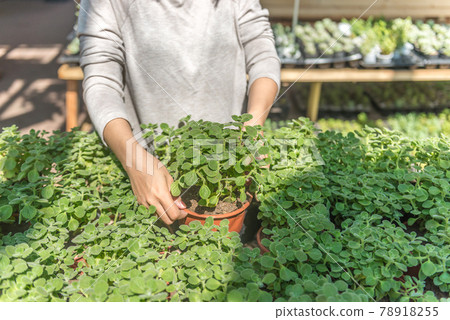 Young woman gardener holding plant pot in garden center Young woman gardener holding plant pot in garden center 78918255