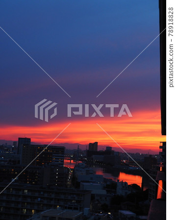 Sunset, sky tree 78918828