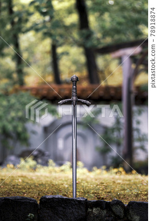 Excalibur 78918874