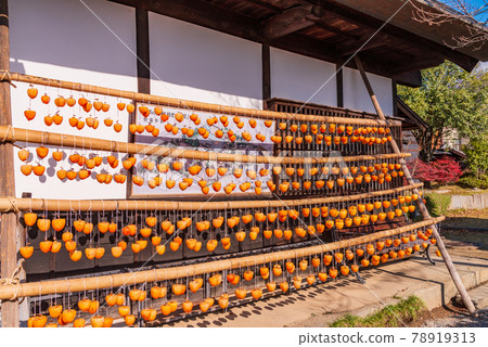 (Yamanashi Prefecture) Former Takano family residence (Lake Persimmon House) 78919313