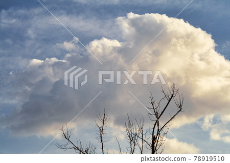 cloud cloud 78919510