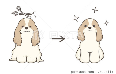 可卡犬後修剪前的狗 78922113