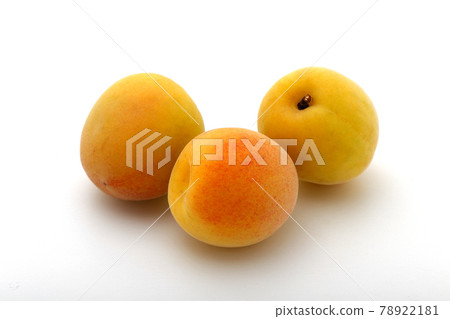 成熟的李子 成熟的李子 78922181