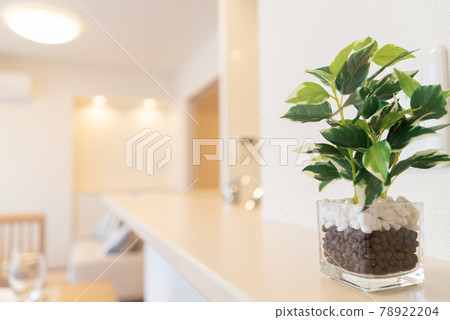 Houseplants placed on the kitchen counter Houseplants placed on the kitchen counter 78922204