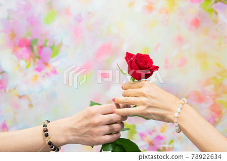 Hands of a couple with a power stone handing a rose flower Hands of a couple with a power stone handing a rose flower 78922634