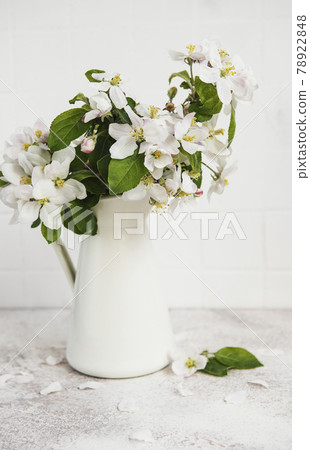 Spring apple blossom in a white vase Spring apple blossom in a white vase 78922848