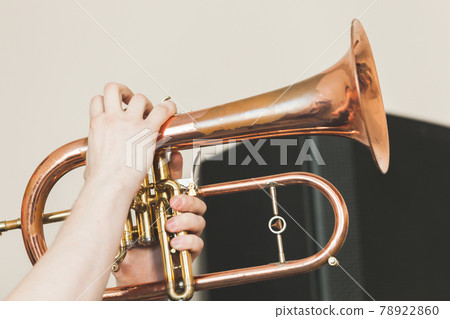 Flugel horn in hands, close-up photo 78922860