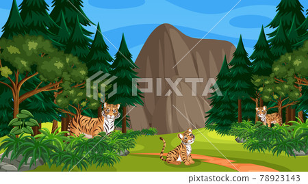 Tiger family in forest or rainforest scene with many trees Tiger family in forest or rainforest scene with many trees 78923143