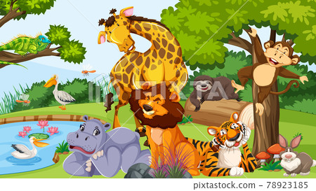 Wild animals in the jungle 78923185