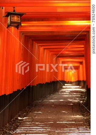 Kyoto Fushimi Inari Taisha Senbon Torii 78924600