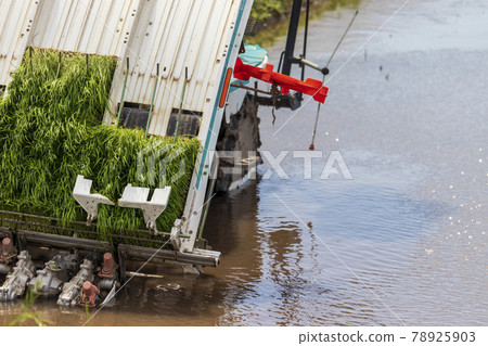 Agricultural machinery Rice transplanter 78925903
