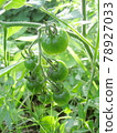 Suzuru 78927033