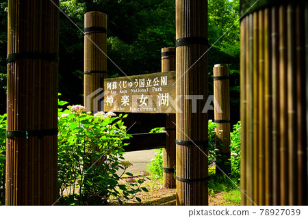 神樂女孩湖 神樂女孩湖 78927039
