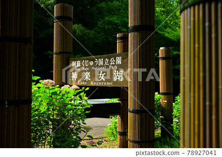 神樂女孩湖 78927041