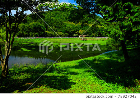 神樂女孩湖 78927042