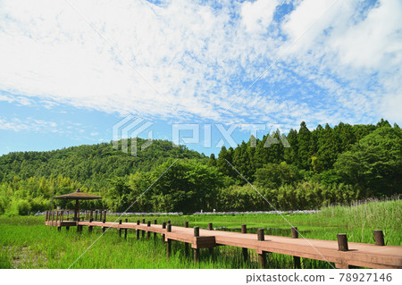 神樂女孩湖 神樂女孩湖 78927146