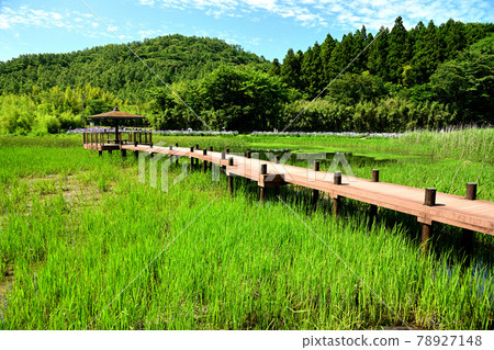 神樂女孩湖 78927148