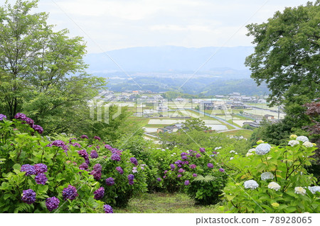 Arijin garden of Koi-no-yu 78928065