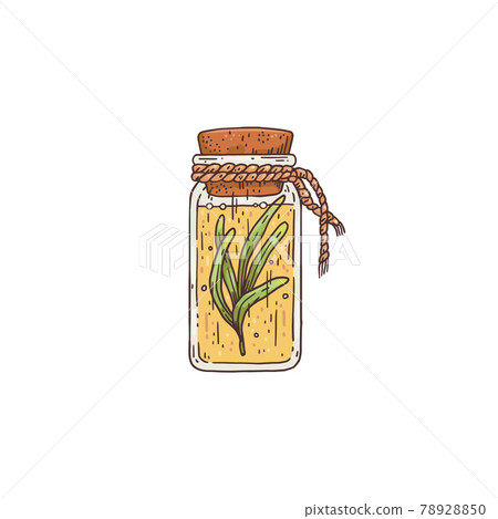 Bottle with fresh rosemary sprig in oil engraving vector illustration isolated. 78928850