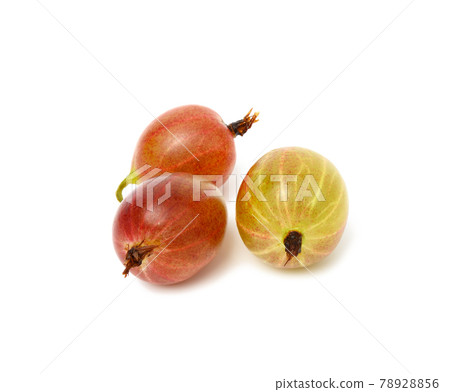 three ripe red and green gooseberries isolated on white background three ripe red and green gooseberries isolated on white background 78928856