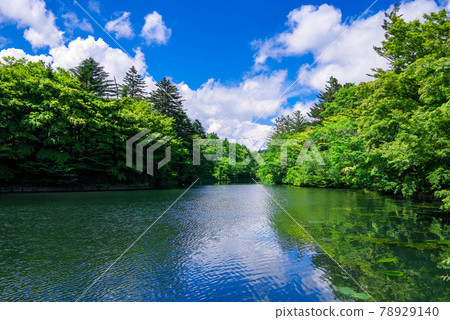 Kumoba Pond in early summer (Karuizawa, Nagano Prefecture) Kumoba Pond in early summer (Karuizawa, Nagano Prefecture) 78929140