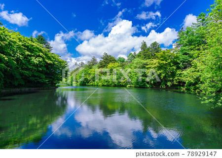 Kumoba Pond in early summer (Karuizawa, Nagano Prefecture) 78929147
