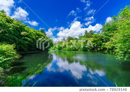 Kumoba Pond in early summer (Karuizawa, Nagano Prefecture) 78929148