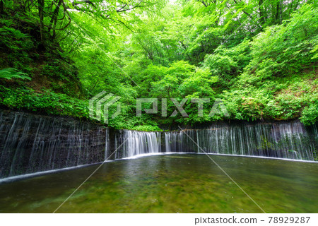 白石瀑布[長野縣輕井澤] 78929287