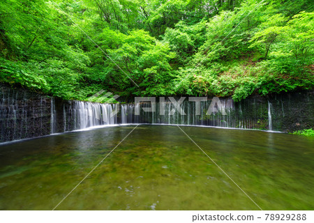 白石瀑布[長野縣輕井澤] 78929288