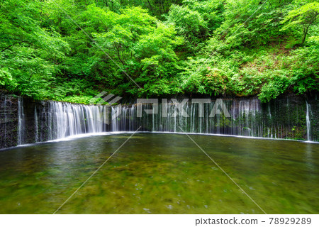 白石瀑布[長野縣輕井澤] 78929289