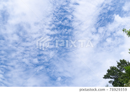 Pleasant blue sky 78929359
