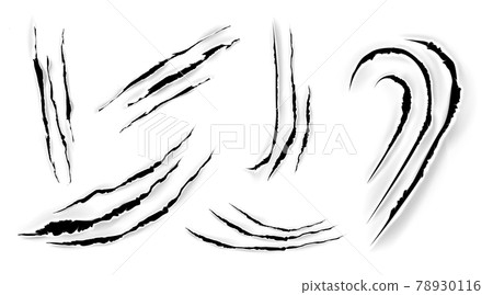 Cat claw scratches, scrapes on white paper Cat claw scratches, scrapes on white paper 78930116