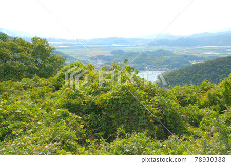岡山縣笠岡市從幻影彩虹台上看到的河之島和笠岡灣開墾土地 78930388