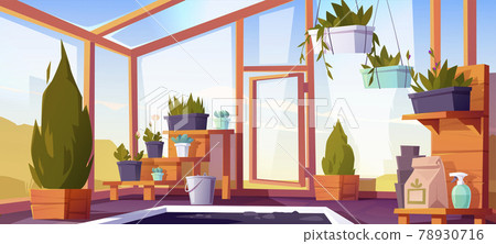 Greenhouse interior with potted plants on shelves Greenhouse interior with potted plants on shelves 78930716