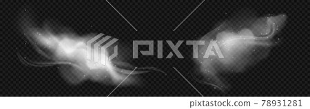 Cold wind effects with white smoke and snowflakes 78931281