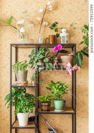 Industrial open shelf filled with potted plants 78932894