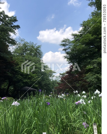 公園裡的風景和藍天 公園裡的風景和藍天 78933093