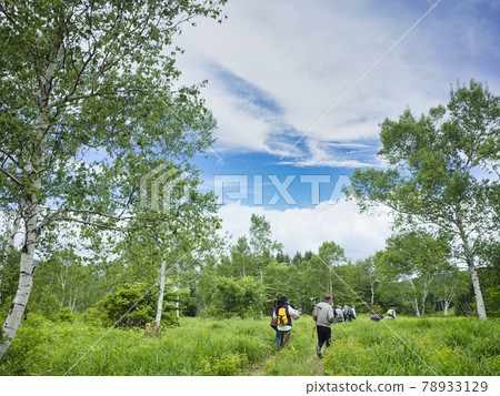 Trekking in Sugadairakogen, Shinshu 78933129