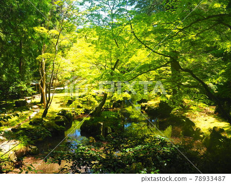 新綠和池塘 北畑竹屋形遺址庭園 新綠和池塘 北畑竹屋形遺址庭園 78933487
