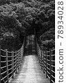 單色世界吊橋 78934028