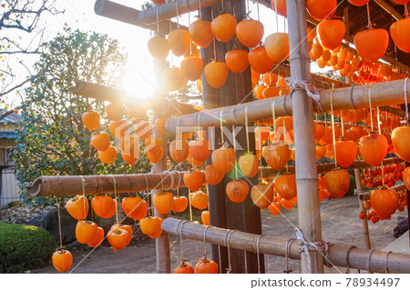 (Yamanashi Prefecture) A village of Yakusu (Yamanashi Prefecture) A village of Yakusu 78934497