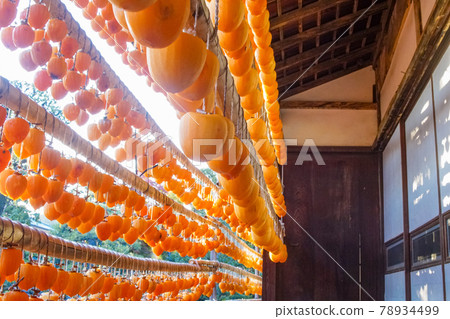 (Yamanashi Prefecture) A village of Yakusu (Yamanashi Prefecture) A village of Yakusu 78934499