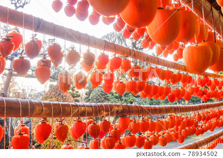 (Yamanashi Prefecture) A village of Yakusu 78934502