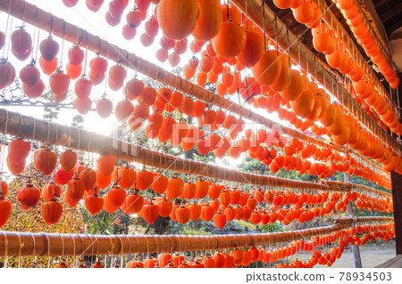 (Yamanashi Prefecture) A village of Yakusu (Yamanashi Prefecture) A village of Yakusu 78934503